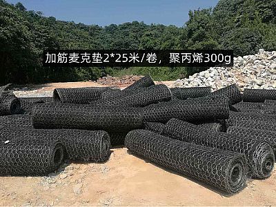加筋麥克墊網(wǎng)格8*10cm,聚丙烯質(zhì)量300g,多少錢，怎么賣？